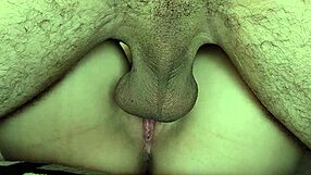 Prima Asks For Cock And Cum In Her Virgin Tight Vagina