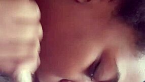 i love sucking that ebony milf's big black cock