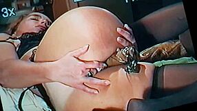 event captured on february 16 2017 at 000421