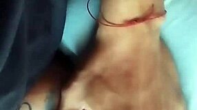 Sex On Public Road Express Tacna