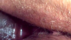 Delivery Guy Fingering Big Ass Busty Hot Milf in Mini Dress with Cum