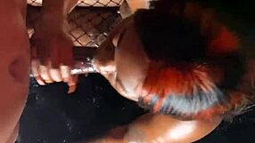 Mass compilation of lace and fishnet sextapes