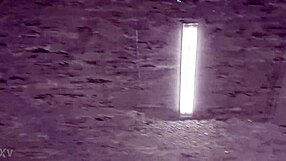 Secretly Pissing At Work In Germany, Can You Believe It?