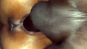 छोटी 18+ लैटिना चूत को विशाल काले लंड ने फैलाया