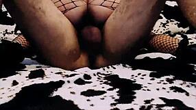 Mature Milf Couples Get Rough Tits Play In Home Compilation