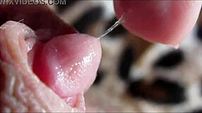 i can’t stop watching my big clit pulse during closeup orgasm