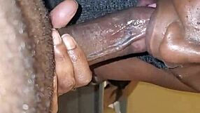 Educational Video Part II: Sexology 1201