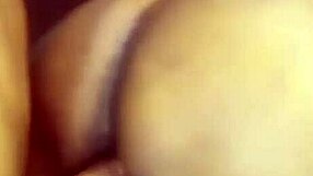 Nigarchrist update 1365 petal 20250609 115025 jun 09 2025