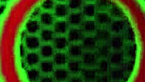 यार, रोम मेजर ने चेर एडेल की उछलती बबल गांड पर कम किया, कमाल है!