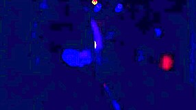 Jkt Strip Club Tour Rated X Pt2 With Anal And Big Tits!