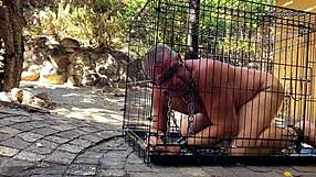 Dominatrix Mistress April Uses Restrained Slave