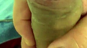 Intriguing update on crossdressing transsexual show from March 2025