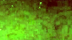 wanna see me piss in the bathtub?