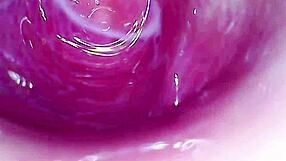 camera inside juicy pussy until hard cum