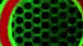 Finger Licking After Pussy Masturbation Milf Sara Jay Got A Bubble Ass