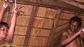 B African BBW Gets First Fetish Whipping Lesson