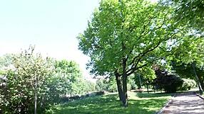 I, the cute blondie, flashed in the park and had a steamy fuck with cum coverd tits.