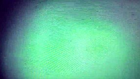 Holy shit, this bitch flaunts her enormous hairy pussy in front of everyone!