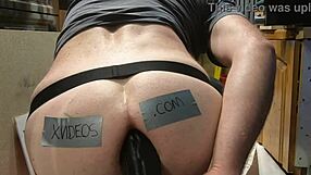 Verifying toys in amateur session with detailed checks