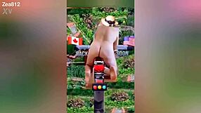 Zea812 Update 225 With Crossdressing And Transsexual