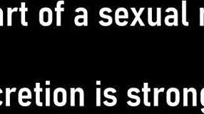 dr tampa humiliates naomi alice in orgasm research