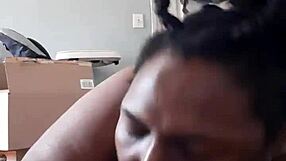 creeddaking shares his latest thoughts and updates in a casual chat