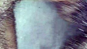 i watch this black hood queen ride wet fat pussy