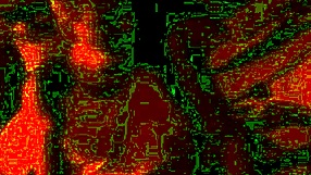 Wait, is this real? Homemade fuck with the bride on our wedding night?