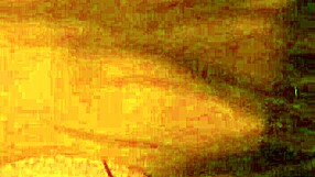 Hey, just had this wild anal assfucking session with my 24-year-old friend... her pussy got involved too! 😈🍑