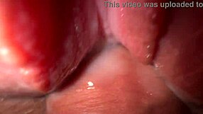 What makes you crave fucking stepsisters tight creamy pussy so roughly?