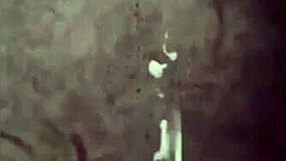 Do you love watching this awesome compilation of videos? It's super fun!