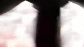 i watch the full video of ebony lizzy riding on a substantial long item