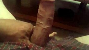 Do you love watching this awesome compilation of videos? It's super fun!