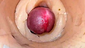 Close-Up Camera Tight Shaved Pussy Mein Huge Cum Explosion Capture Karti Hai Intense Cucumber Aur Dildo Play Ke Dauraan