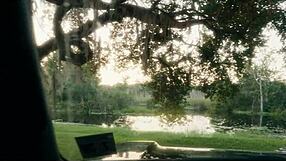 Submissive Humiliation Slut Crawls Out Of Lagoon To Eat Ass And Drink Piss Siren