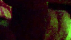 Amateur compilation of blowjob sessions with oral caresses and intense anal fucking set to music