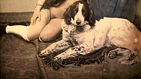 hey, dark lantern entertainment is presenting beauty and the beast