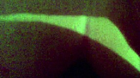 Amateur compilation of blowjob sessions with oral caresses and intense anal fucking set to music