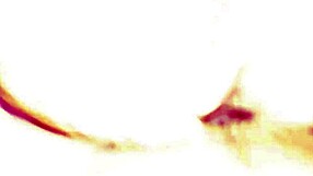 Oh man, my lover rides me so good, it's like pure amateur heat every time. We keep it real and intense.