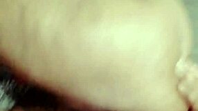 Sundaydogood614 Shares Latest Update 965 from Vid 20250412 172025 on Apr 12 2025