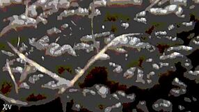 Hey, ever wondered about ablatisque testiculis meaning balls in latin language context?