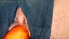 What if I keep my panties on while he fucks my tight wet pussy to double creampie orgasms?