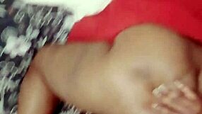 Sundaydogood614 Shares Latest Update 965 from Vid 20250412 172025 on Apr 12 2025