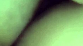 Amateur Crossdressing Transsexual Takes Bareback Anal Assfucking with Gay Cuzinho Devorando Rola