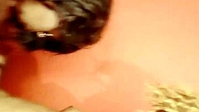 what's next for sundaydogood614 in update 295 from july 6 2024 video?