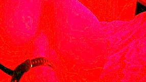 Ever Wonder About Amateur Couple Diving Into Dirty Anal Fun With Lingerie And Ass Worship?