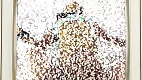 Yasmine Woods Subtly Enjoys Sucking Dick Before Intense Missionary Fucking in Backstage Scene