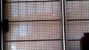 my sister subtly shakes her hips in a teasing twerk-like motion that hints at more