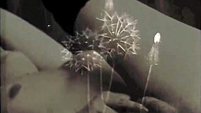 Oh wow, check out My Secret Life, it's the world's greatest erotic story with those vintage silent movies