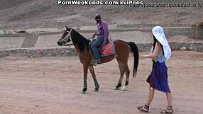 ये कपल बिलियर्ड टेबल पर वाइल्ड हो गया, पैशनेट चुदाई स्टीमी एनकाउंटर में